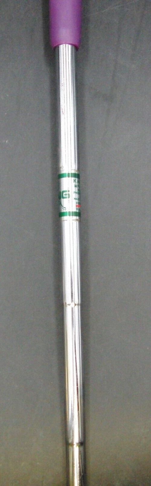 Ping Anser 5 Putter Steel Shaft 89cm Length Iguana Golf Grip 11 Ping Anser 5 Putter Steel Shaft 89cm Length Iguana Golf Grip - Image 9