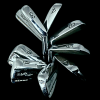 Collectors Set Of 8 X Nick Price NP-31 Tour Pro Irons 3-PW Regular Steel Shafts