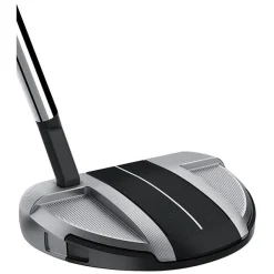 TaylorMade Golf Taylormade Spider GT Rollback Silver/Black Small Slant Putter